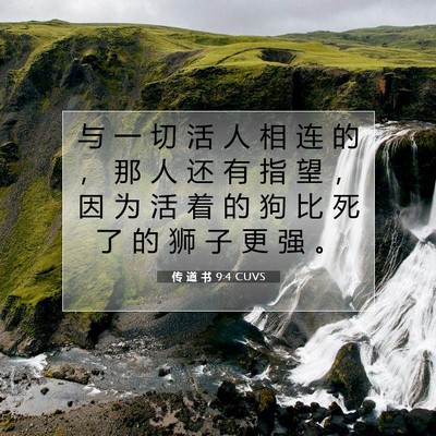 Picture 07 - 传 道 书 9:4 CUVS - 与 一 切 活 人 相 连 的 ， 那 人 还 - Bible Verse Picture