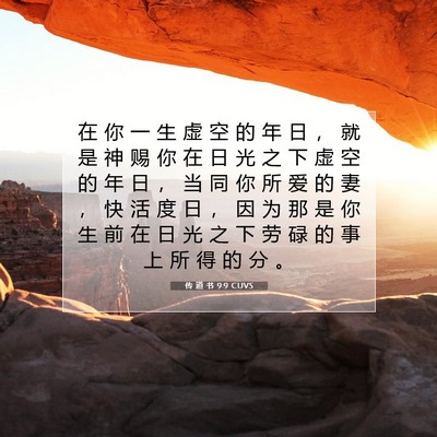 Picture 07 - 传 道 书 9:9 CUVS - 在 你 一 生 虚 空 的 年 日 ， 就 是 - Bible Verse Picture