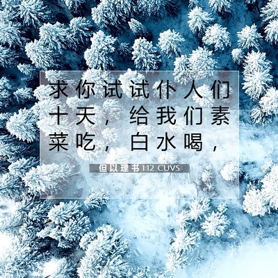 Picture 07 - 但 以 理 书 1:12 CUVS - 求 你 试 试 仆 人 们 十 天 ， 给 我 - Bible Verse Picture
