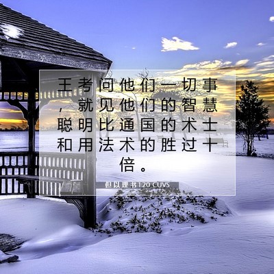 Picture 07 - 但 以 理 书 1:20 CUVS - 王 考 问 他 们 一 切 事 ， 就 见 他 - Bible Verse Picture