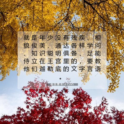 Picture 07 - 但 以 理 书 1:4 CUVS - 就 是 年 少 没 有 残 疾 、 相 貌 俊 - Bible Verse Picture