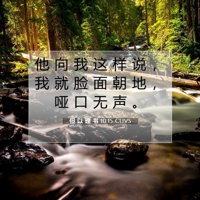 Picture 07 - 但 以 理 书 10:15 CUVS - 他 向 我 这 样 说 ， 我 就 脸 面 朝 - Bible Verse Picture