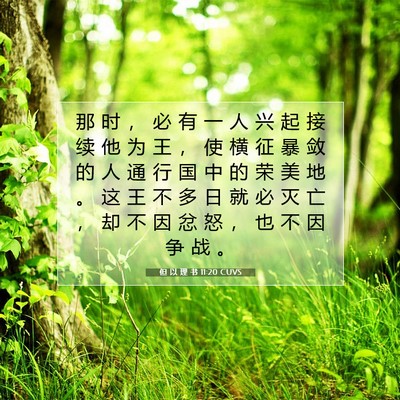 Picture 07 - 但 以 理 书 11:20 CUVS - 那 时 ， 必 有 一 人 兴 起 接 续 他 - Bible Verse Picture