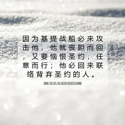 Picture 07 - 但 以 理 书 11:30 CUVS - 因 为 基 提 战 船 必 来 攻 击 他 ， - Bible Verse Picture