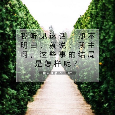Picture 07 - 但 以 理 书 12:8 CUVS - 我 听 见 这 话 ， 却 不 明 白 ， 就 - Bible Verse Picture