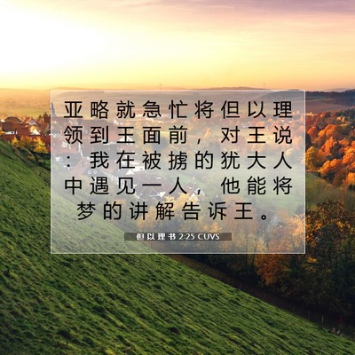 Picture 07 - 但 以 理 书 2:25 CUVS - 亚 略 就 急 忙 将 但 以 理 领 到 王 - Bible Verse Picture