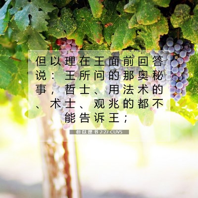 Picture 07 - 但 以 理 书 2:27 CUVS - 但 以 理 在 王 面 前 回 答 说 ： 王 - Bible Verse Picture