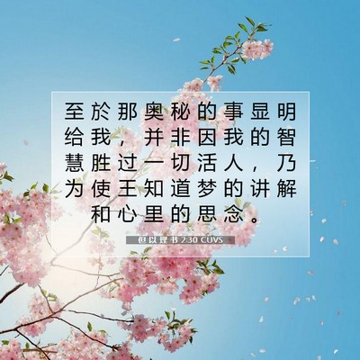 Picture 07 - 但 以 理 书 2:30 CUVS - 至 於 那 奥 秘 的 事 显 明 给 我 ， - Bible Verse Picture
