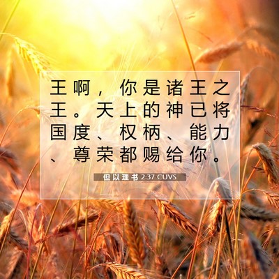 Picture 07 - 但 以 理 书 2:37 CUVS - 王 啊 ， 你 是 诸 王 之 王 。 天 上 - Bible Verse Picture