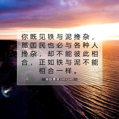 Picture 07 - 但 以 理 书 2:43 CUVS - 你 既 见 铁 与 泥 搀 杂 ， 那 国 民 - Bible Verse Picture