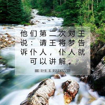 Picture 07 - 但 以 理 书 2:7 CUVS - 他 们 第 二 次 对 王 说 ： 请 王 将 - Bible Verse Picture