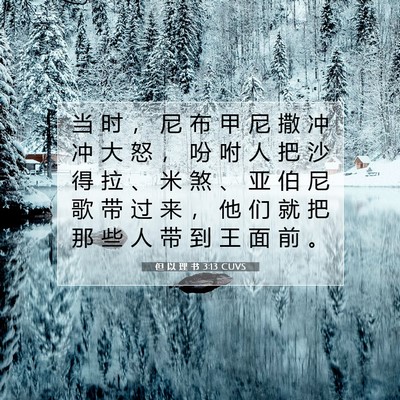 Picture 07 - 但 以 理 书 3:13 CUVS - 当 时 ， 尼 布 甲 尼 撒 冲 冲 大 怒 - Bible Verse Picture