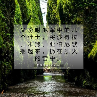 Picture 07 - 但 以 理 书 3:20 CUVS - 又 吩 咐 他 军 中 的 几 个 壮 士 ， - Bible Verse Picture