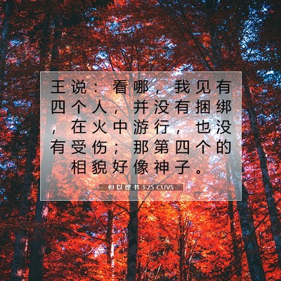 Picture 07 - 但 以 理 书 3:25 CUVS - 王 说 ： 看 哪 ， 我 见 有 四 个 人 - Bible Verse Picture