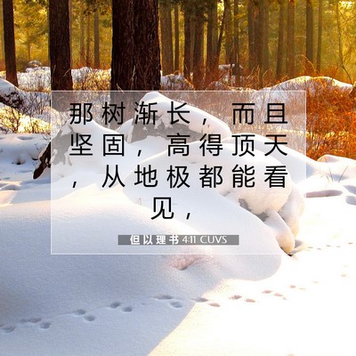 Picture 07 - 但 以 理 书 4:11 CUVS - 那 树 渐 长 ， 而 且 坚 固 ， 高 得 - Bible Verse Picture