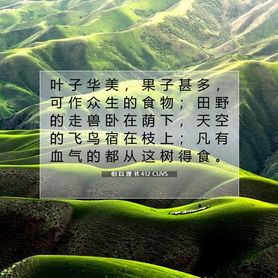 Picture 07 - 但 以 理 书 4:12 CUVS - 叶 子 华 美 ， 果 子 甚 多 ， 可 作 - Bible Verse Picture