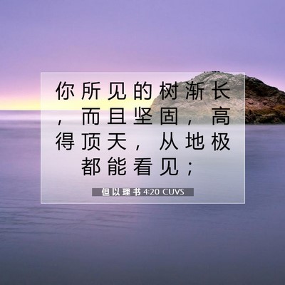Picture 07 - 但 以 理 书 4:20 CUVS - 你 所 见 的 树 渐 长 ， 而 且 坚 固 - Bible Verse Picture
