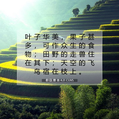 Picture 07 - 但 以 理 书 4:21 CUVS - 叶 子 华 美 ， 果 子 甚 多 ， 可 作 - Bible Verse Picture
