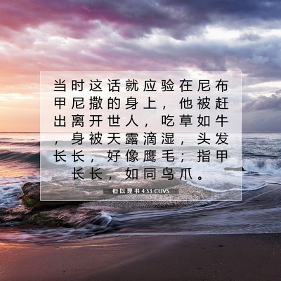 Picture 07 - 但 以 理 书 4:33 CUVS - 当 时 这 话 就 应 验 在 尼 布 甲 尼 - Bible Verse Picture