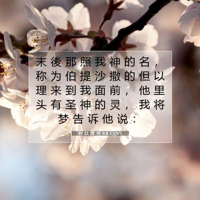Picture 07 - 但 以 理 书 4:8 CUVS - 末 後 那 照 我 神 的 名 ， 称 为 伯 - Bible Verse Picture
