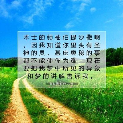 Picture 07 - 但 以 理 书 4:9 CUVS - 术 士 的 领 袖 伯 提 沙 撒 啊 ， 因 - Bible Verse Picture