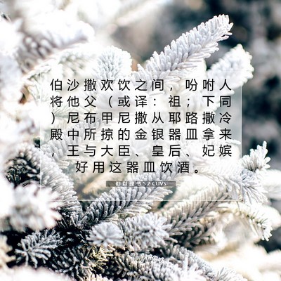Picture 07 - 但 以 理 书 5:2 CUVS - 伯 沙 撒 欢 饮 之 间 ， 吩 咐 人 将 - Bible Verse Picture