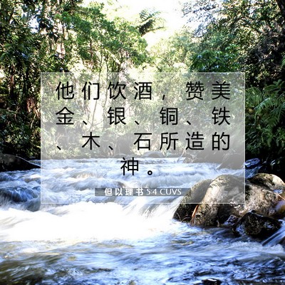 Picture 07 - 但 以 理 书 5:4 CUVS - 他 们 饮 酒 ， 赞 美 金 、 银 、 铜 - Bible Verse Picture