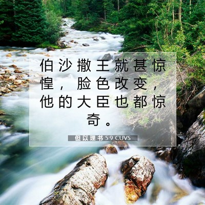 Picture 07 - 但 以 理 书 5:9 CUVS - 伯 沙 撒 王 就 甚 惊 惶 ， 脸 色 改 - Bible Verse Picture