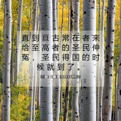 Picture 07 - 但 以 理 书 7:22 CUVS - 直 到 亘 古 常 在 者 来 给 至 高 者 - Bible Verse Picture