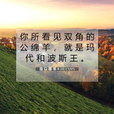 Picture 07 - 但 以 理 书 8:20 CUVS - 你 所 看 见 双 角 的 公 绵 羊 ， 就 - Bible Verse Picture