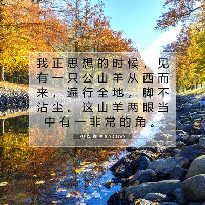 Picture 07 - 但 以 理 书 8:5 CUVS - 我 正 思 想 的 时 候 ， 见 有 一 只 - Bible Verse Picture