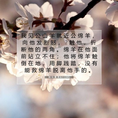 Picture 07 - 但 以 理 书 8:7 CUVS - 我 见 公 山 羊 就 近 公 绵 羊 ， 向 - Bible Verse Picture