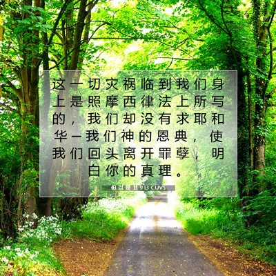 Picture 07 - 但 以 理 书 9:13 CUVS - 这 一 切 灾 祸 临 到 我 们 身 上 是 - Bible Verse Picture