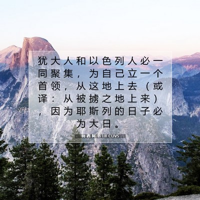 Picture 07 - 何 西 阿 书 1:11 CUVS - 犹 大 人 和 以 色 列 人 必 一 同 聚 - Bible Verse Picture