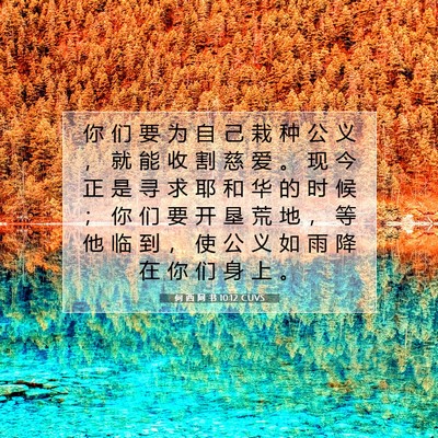 Picture 07 - 何 西 阿 书 10:12 CUVS - 你 们 要 为 自 己 栽 种 公 义 ， 就 - Bible Verse Picture