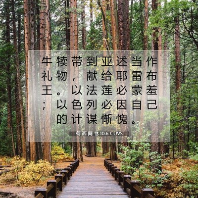 Picture 07 - 何 西 阿 书 10:6 CUVS - 牛 犊 带 到 亚 述 当 作 礼 物 ， 献 - Bible Verse Picture