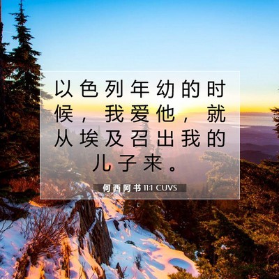 Picture 07 - 何 西 阿 书 11:1 CUVS - 以 色 列 年 幼 的 时 候 ， 我 爱 他 - Bible Verse Picture