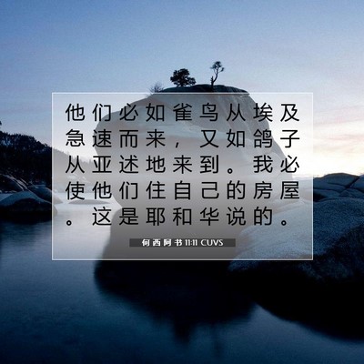 Picture 07 - 何 西 阿 书 11:11 CUVS - 他 们 必 如 雀 鸟 从 埃 及 急 速 而 - Bible Verse Picture