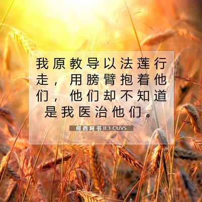 Picture 07 - 何 西 阿 书 11:3 CUVS - 我 原 教 导 以 法 莲 行 走 ， 用 膀 - Bible Verse Picture