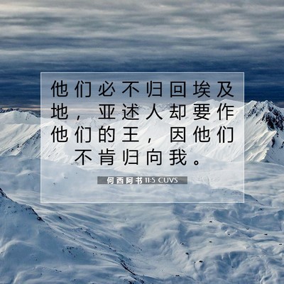 Picture 07 - 何 西 阿 书 11:5 CUVS - 他 们 必 不 归 回 埃 及 地 ， 亚 述 - Bible Verse Picture
