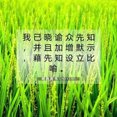Picture 07 - 何 西 阿 书 12:10 CUVS - 我 已 晓 谕 众 先 知 ， 并 且 加 增 - Bible Verse Picture