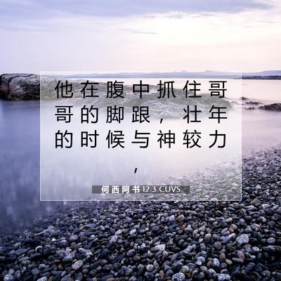 Picture 07 - 何 西 阿 书 12:3 CUVS - 他 在 腹 中 抓 住 哥 哥 的 脚 跟 ， - Bible Verse Picture