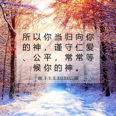 Picture 07 - 何 西 阿 书 12:6 CUVS - 所 以 你 当 归 向 你 的 神 ， 谨 守 - Bible Verse Picture