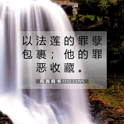 Picture 07 - 何 西 阿 书 13:12 CUVS - 以 法 莲 的 罪 孽 包 裹 ； 他 的 罪 - Bible Verse Picture