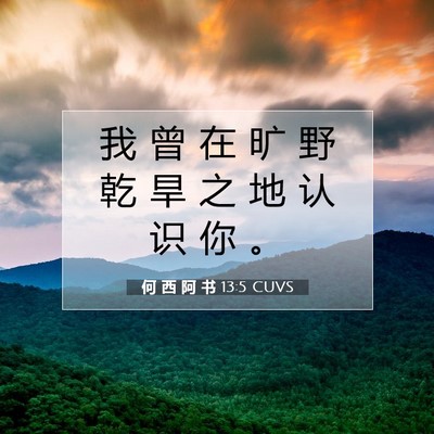 Picture 07 - 何 西 阿 书 13:5 CUVS - 我 曾 在 旷 野 乾 旱 之 地 认 识 你 - Bible Verse Picture