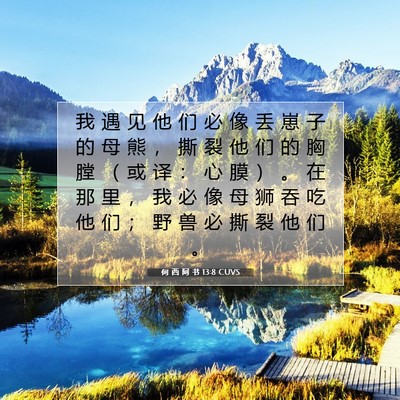 Picture 07 - 何 西 阿 书 13:8 CUVS - 我 遇 见 他 们 必 像 丢 崽 子 的 母 - Bible Verse Picture