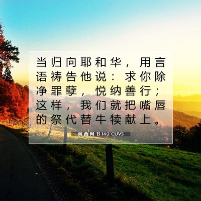 Picture 07 - 何 西 阿 书 14:2 CUVS - 当 归 向 耶 和 华 ， 用 言 语 祷 告 - Bible Verse Picture