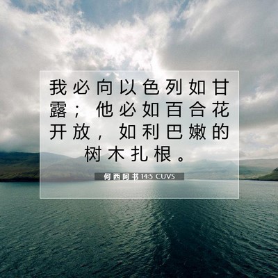 Picture 07 - 何 西 阿 书 14:5 CUVS - 我 必 向 以 色 列 如 甘 露 ； 他 必 - Bible Verse Picture