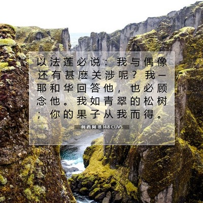Picture 07 - 何 西 阿 书 14:8 CUVS - 以 法 莲 必 说 ： 我 与 偶 像 还 有 - Bible Verse Picture