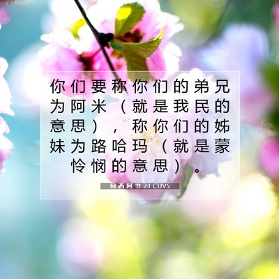 Picture 07 - 何 西 阿 书 2:1 CUVS - 你 们 要 称 你 们 的 弟 兄 为 阿 米 - Bible Verse Picture